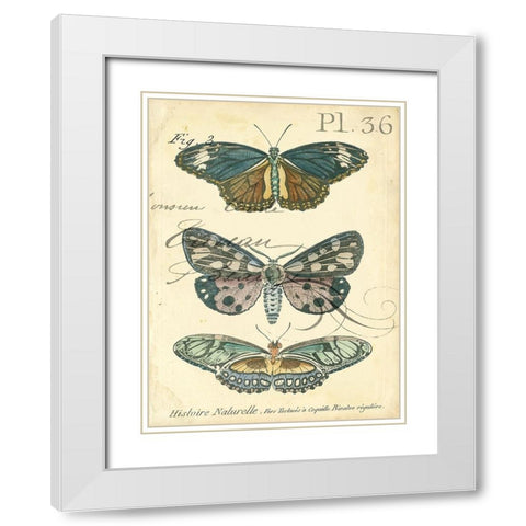 Custom Butterfly Ephemera III (GC) White Modern Wood Framed Art Print with Double Matting by Zarris, Chariklia