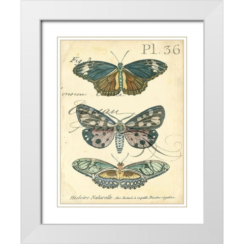 Custom Butterfly Ephemera III (GC) White Modern Wood Framed Art Print with Double Matting by Zarris, Chariklia