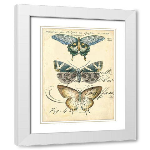 Custom Butterfly Ephemera IV (GC) White Modern Wood Framed Art Print with Double Matting by Zarris, Chariklia