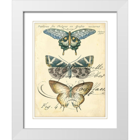 Custom Butterfly Ephemera IV (GC) White Modern Wood Framed Art Print with Double Matting by Zarris, Chariklia