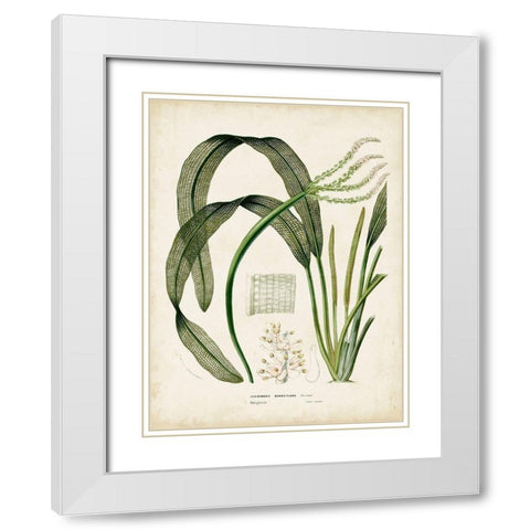 Small Tropical Grass I White Modern Wood Framed Art Print with Double Matting by Vision Studio