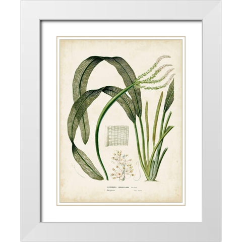 Small Tropical Grass I White Modern Wood Framed Art Print with Double Matting by Vision Studio