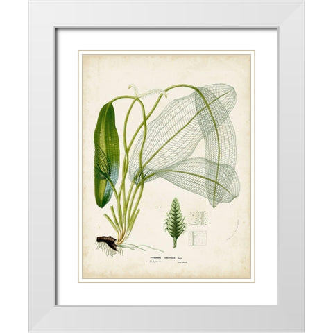 Small Tropical Grass II White Modern Wood Framed Art Print with Double Matting by Vision Studio