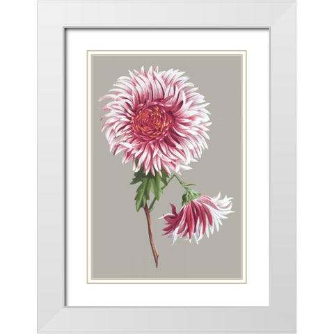 Chrysanthemum on Gray III White Modern Wood Framed Art Print with Double Matting by Vision Studio