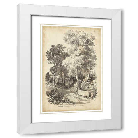 Noble Tree I White Modern Wood Framed Art Print with Double Matting by Harding, J.D.