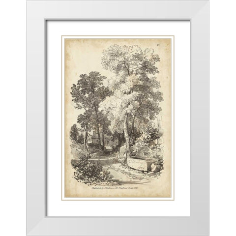 Noble Tree I White Modern Wood Framed Art Print with Double Matting by Harding, J.D.