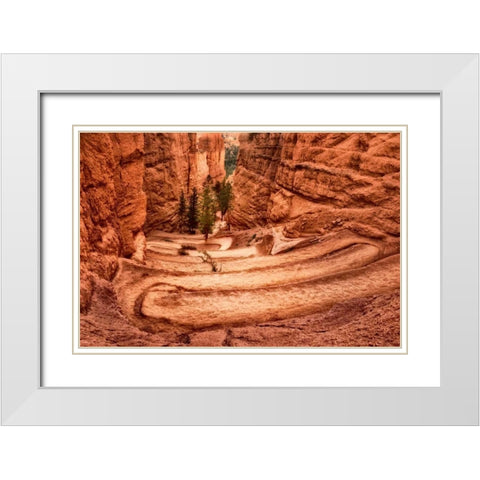 The Switchbacks White Modern Wood Framed Art Print with Double Matting by Head, Danny
