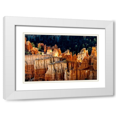 Sun Bath I White Modern Wood Framed Art Print with Double Matting by Head, Danny