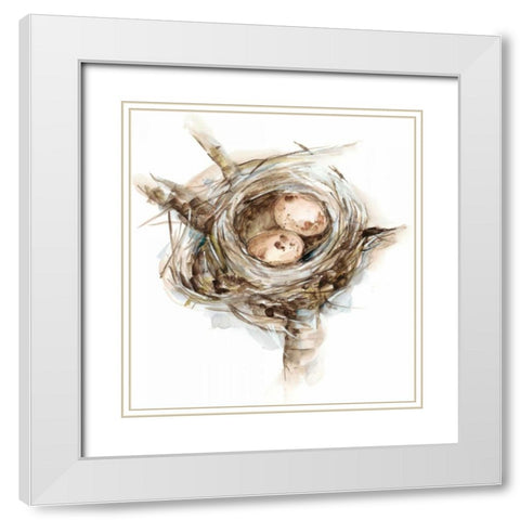 Bird Nest Study I White Modern Wood Framed Art Print with Double Matting by Harper, Ethan