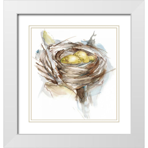 Bird Nest Study III White Modern Wood Framed Art Print with Double Matting by Harper, Ethan