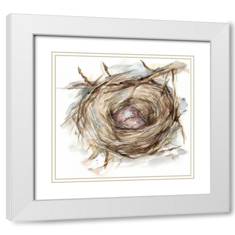 Bird Nest Study IV White Modern Wood Framed Art Print with Double Matting by Harper, Ethan
