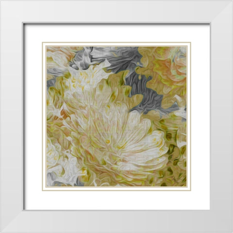 Mums in Sun II White Modern Wood Framed Art Print with Double Matting by Burghardt, James