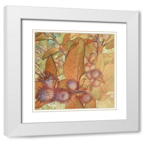 Prickley Tiles II White Modern Wood Framed Art Print with Double Matting by Burghardt, James