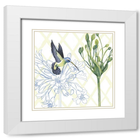Hummingbird Dance III White Modern Wood Framed Art Print with Double Matting by Popp, Grace