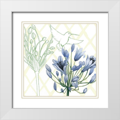 Hummingbird Dance IV White Modern Wood Framed Art Print with Double Matting by Popp, Grace