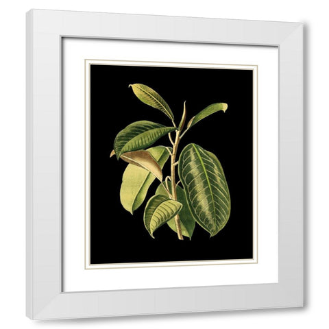 Custom Green Leaves on Black I (LG) White Modern Wood Framed Art Print with Double Matting by Vision Studio