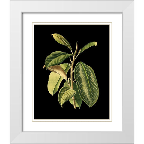 Custom Green Leaves on Black I (LG) White Modern Wood Framed Art Print with Double Matting by Vision Studio
