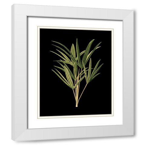 Custom Green Leaves on Black II (LG) White Modern Wood Framed Art Print with Double Matting by Vision Studio