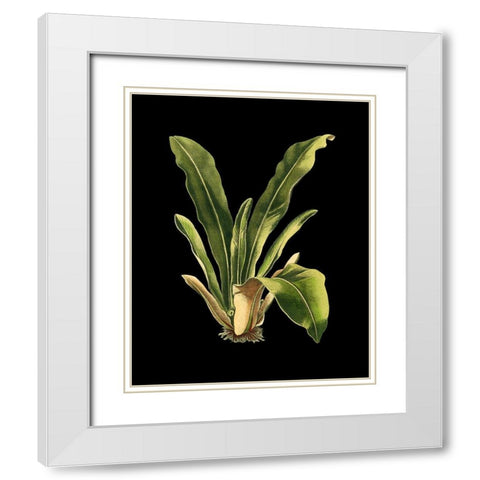 Custom Green Leaves on Black III (LG) White Modern Wood Framed Art Print with Double Matting by Vision Studio