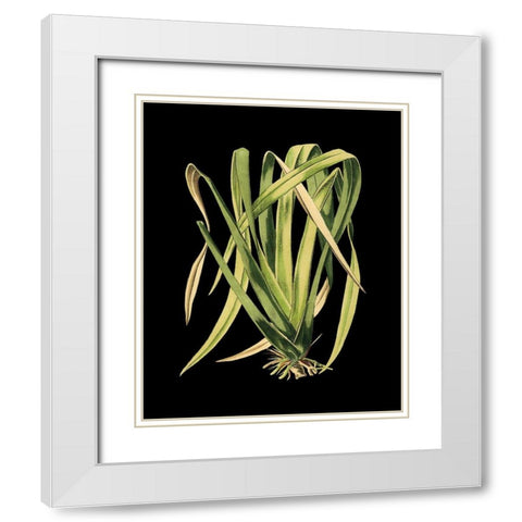 Custom Green Leaves on Black IV (LG) White Modern Wood Framed Art Print with Double Matting by Vision Studio