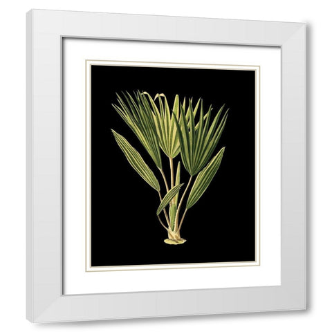 Custom Green Leaves on Black V (LG) White Modern Wood Framed Art Print with Double Matting by Vision Studio