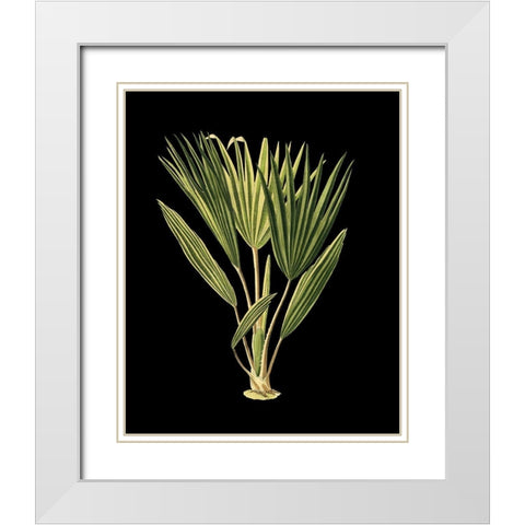 Custom Green Leaves on Black V (LG) White Modern Wood Framed Art Print with Double Matting by Vision Studio