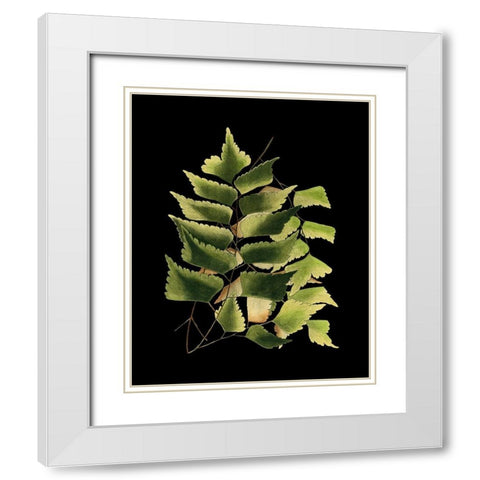 Custom Green Leaves on Black VI (LG) White Modern Wood Framed Art Print with Double Matting by Vision Studio