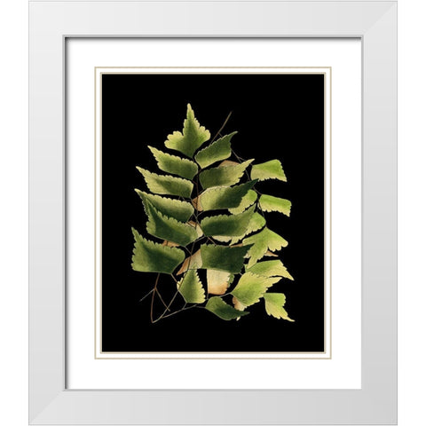Custom Green Leaves on Black VI (LG) White Modern Wood Framed Art Print with Double Matting by Vision Studio