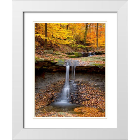 Blue Hen Falls White Modern Wood Framed Art Print with Double Matting by Burchett, P.H.