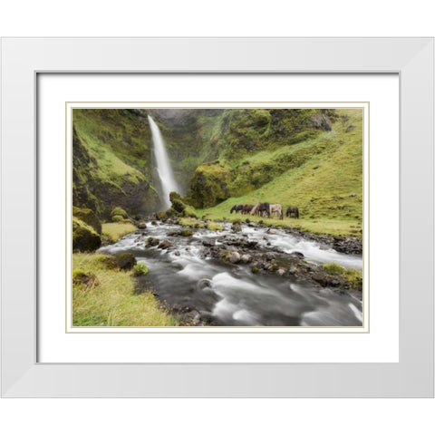 Waterfall Horses I White Modern Wood Framed Art Print with Double Matting by Burchett, P.H.