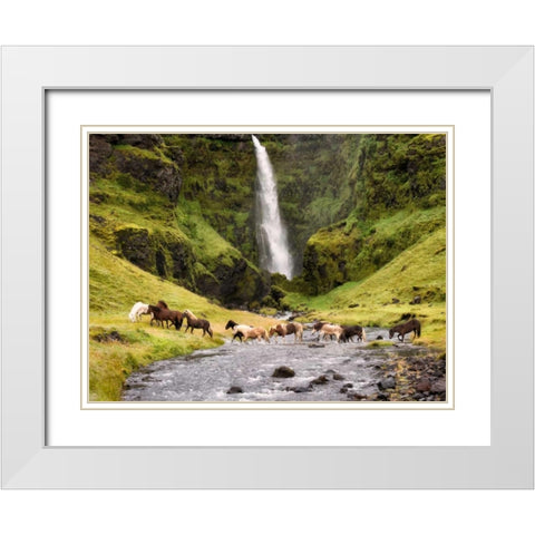 Waterfall Horses II White Modern Wood Framed Art Print with Double Matting by Burchett, P.H.