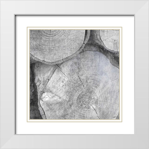 Logging Light V White Modern Wood Framed Art Print with Double Matting by Butler, John