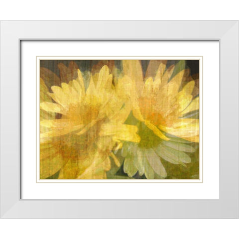 Daisy Daisy I White Modern Wood Framed Art Print with Double Matting by Butler, John