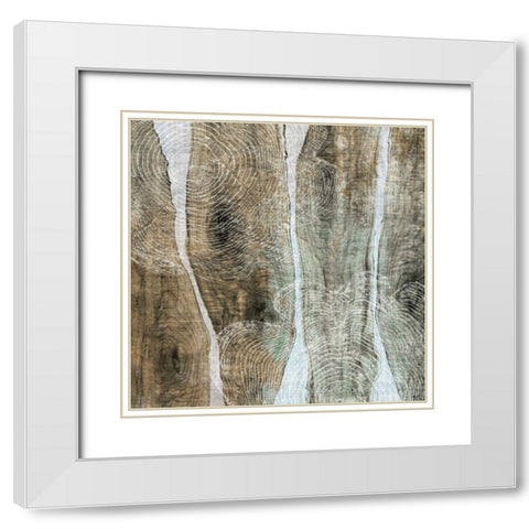Live Edge IV White Modern Wood Framed Art Print with Double Matting by Butler, John