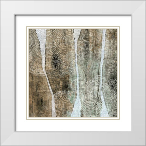 Live Edge IV White Modern Wood Framed Art Print with Double Matting by Butler, John