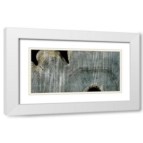 Gray Ghost I White Modern Wood Framed Art Print with Double Matting by Butler, John