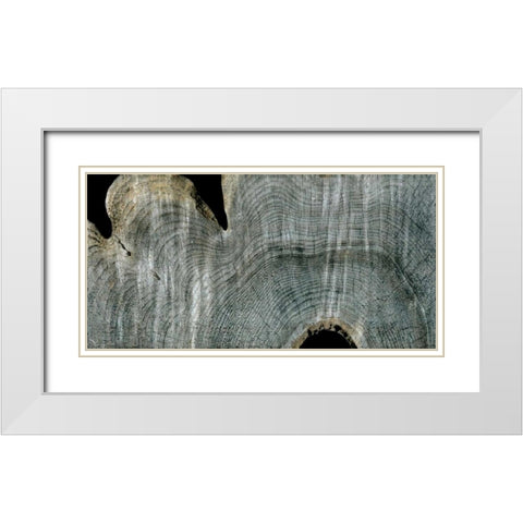 Gray Ghost I White Modern Wood Framed Art Print with Double Matting by Butler, John