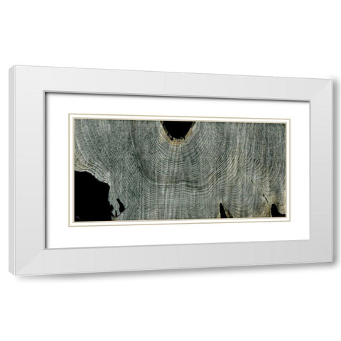 Gray Ghost II White Modern Wood Framed Art Print with Double Matting by Butler, John