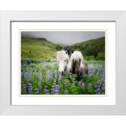 Icelandic Horses III White Modern Wood Framed Art Print with Double Matting by Burchett, P.H.
