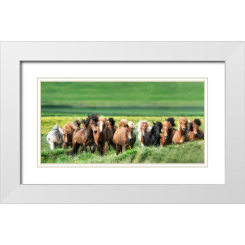 Icelandic Horses XII White Modern Wood Framed Art Print with Double Matting by Burchett, P.H.