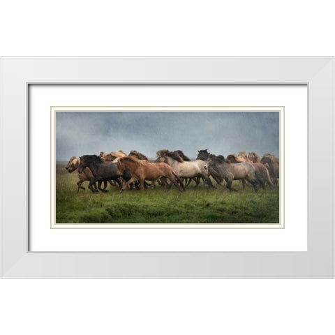 Icelandic Horses XIII White Modern Wood Framed Art Print with Double Matting by Burchett, P.H.