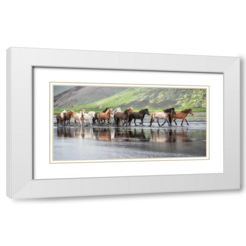Icelandic Horses XIV White Modern Wood Framed Art Print with Double Matting by Burchett, P.H.