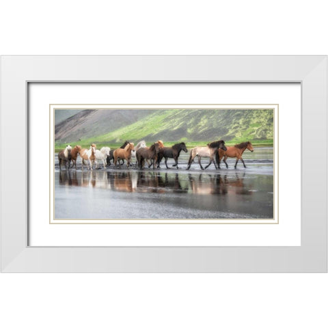Icelandic Horses XIV White Modern Wood Framed Art Print with Double Matting by Burchett, P.H.