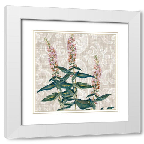 Flower Study Collection D White Modern Wood Framed Art Print with Double Matting by Miller, Dianne