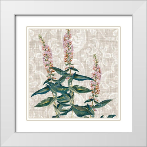 Flower Study Collection D White Modern Wood Framed Art Print with Double Matting by Miller, Dianne