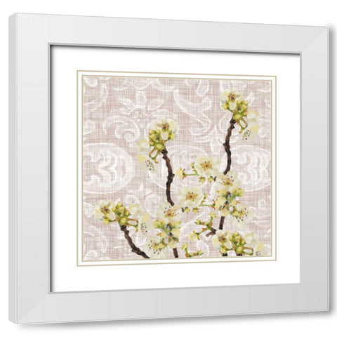 Flower Study Collection E White Modern Wood Framed Art Print with Double Matting by Miller, Dianne