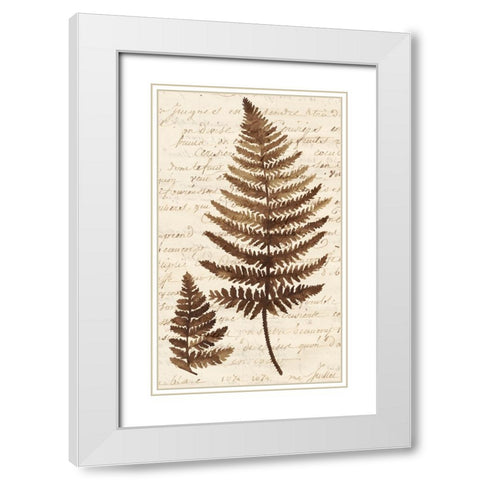 Ferns And Ledgers I White Modern Wood Framed Art Print with Double Matting by McCavitt, Naomi