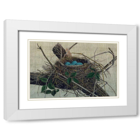 Nesting II White Modern Wood Framed Art Print with Double Matting by Butler, John