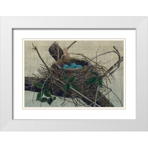 Nesting II White Modern Wood Framed Art Print with Double Matting by Butler, John