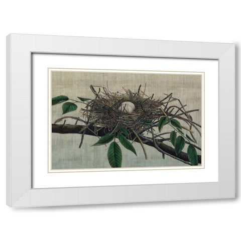 Nesting III White Modern Wood Framed Art Print with Double Matting by Butler, John